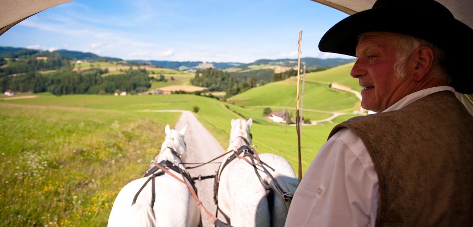 Pferdekutschenfahrt mit Johann Lumetsberger